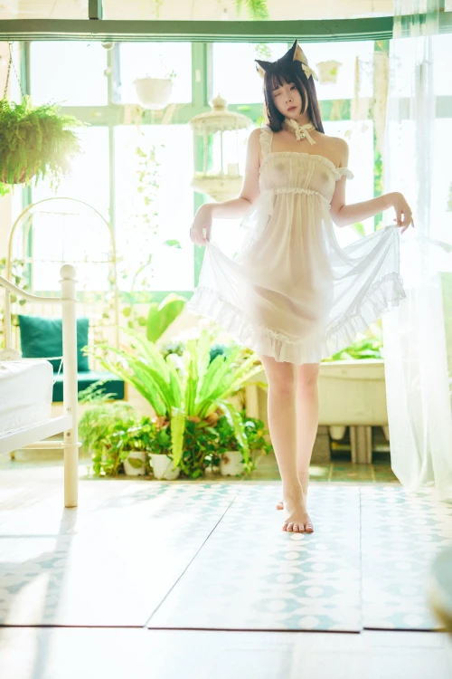 146.webp