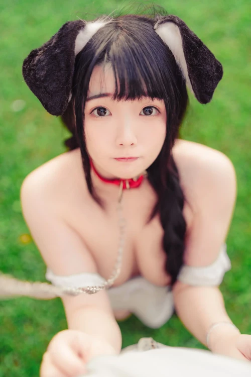 370.webp