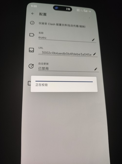 17783616420156767397085552574770.jpg