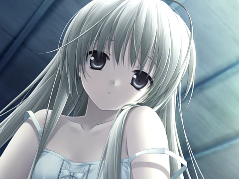 cuffs_0011jp-002.jpg