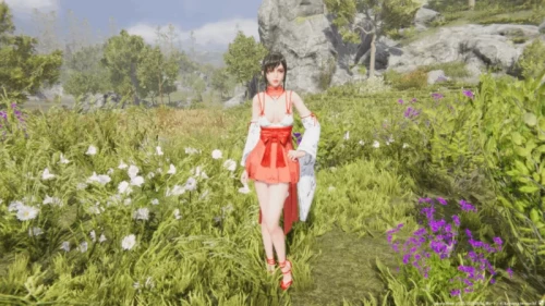 211352ukfpkwmiiip455km