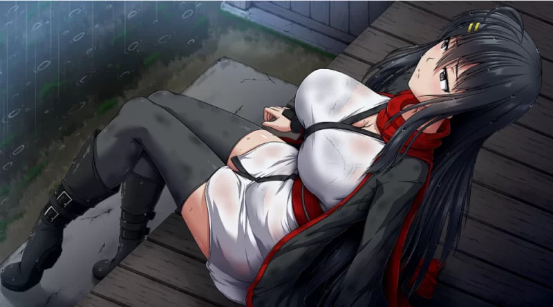 【PC+安卓模拟器+大型+动态+全CV+官中步兵】叛道武士2.02 [8.3G]-次元小屋