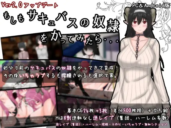 【RPG/机翻+AI文本/魅魔/反向奸/奴仆/多P】[RJ285589/まんじゅうX社团]如果试着买下魅魔奴隶/もしもサキュバスの奴○をかってみたら[Ver2.2]【PC+安卓/2.10G】